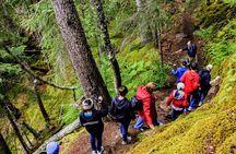 Skagway Shore Excursion Chilkoot Trail Hike and Float Tour