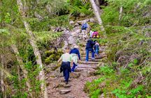 Skagway Shore Excursion Chilkoot Trail Hike and Float Tour