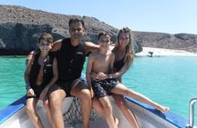 Espiritu Santo Island Combo: Sea Lions and Paddleboard 1 to 6 Private Group 