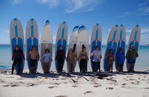 Espiritu Santo Island Combo: Sea Lions and Paddleboard 1 to 6 Private Group 