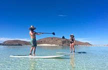 Espiritu Santo Island Combo: Sea Lions and Paddleboard 1 to 6 Private Group 