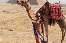Cairo 8 Hour Private Tour of Pyramids, Egyptian Museum and Bazaar