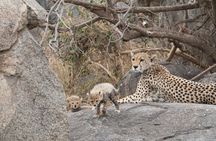 3-Day Classic Serengeti Safari