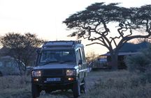 3-Day Classic Serengeti Safari
