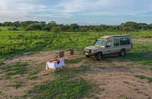 3-Day Classic Serengeti Safari
