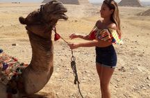 Cairo 8 Hour Private Tour of Pyramids, Egyptian Museum and Bazaar