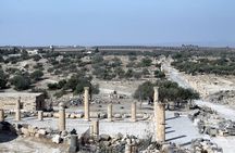 From Amman to North ( umm qais, Jerash and ajloun) 