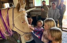 Horseback Rides, Interactions, and Petting Zoo