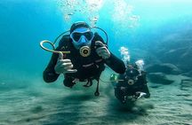 Discover the underwater world PHOTO AND VIDEO for free