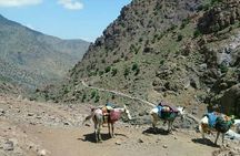 From Marrakech: 2 Days Mount Toubkal trek