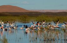 Private day Trip to Oualidia and Safi from Marrakech