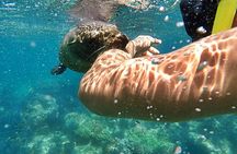 Espiritu Santo Island Day Tour
