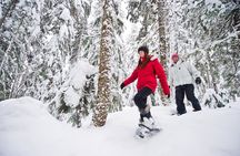 Medicine Trail Snowshoe Tour 