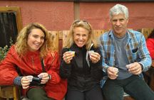 Elqui Valley - Short Excursion for Cruise Trips