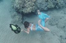 Private Tours Beach Entry - Sea Scooters Guided with videos