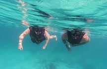 3 in 1 Private Tour Tulum Cenote and Snorkeling in the reef