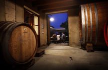 Wine Tasting with Panoramic View of Verona