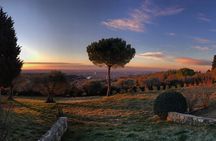 Wine Tasting with Panoramic View of Verona