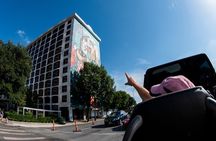 Austin and Hill Country Panoramic Sightseeing Tour