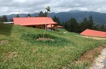 San José del Pacifico: between clouds & Mountains