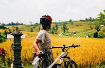 Half-Day Ubud Rice Field and Village Cycling Tour