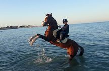 4 Hour Horse Riding in the Desert and Sea 