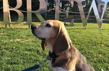 Private:Brewery, Winery, and Cider & Spirit Tastings Tour in SW Ontario