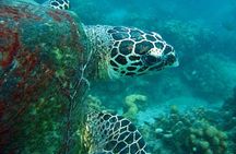 PADI Advanced Open Water Diver course Two days one night included accommodation