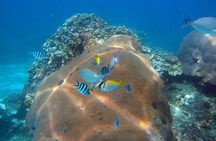 PADI Advanced Open Water Diver course Two days one night included accommodation