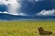 3 Day Sharing Safari - Manyara, Ngorongoro Crater and Tarangire National Parks