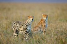 3 Day Sharing Safari - Manyara, Ngorongoro Crater and Tarangire National Parks