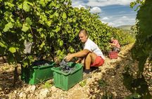 Krka Waterfalls & Dalmatian delights from Split or Trogir