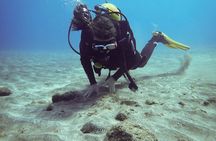 SSI basic diver In Tenerife - 2 Dives