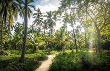 4 Days Santa Marta, Tayrona and Minca