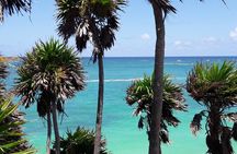 Tulum Private Boat Tour & Turtle Snorkeling Experience