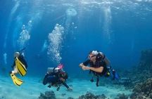 Full Day Diving Tour with profesional divers