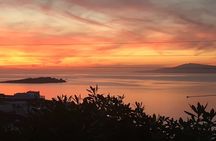 Private Only: Panoramic and Tasting Experience