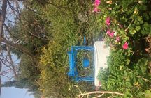 Private Only: Panoramic and Tasting Experience