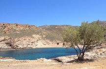 Private Tour: The Best of Mykonos (no walking)