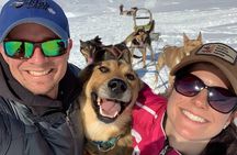Dog Sledding Adventure in Willow, Alaska