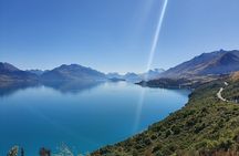 Glenorchy Kiwi Special Tour 