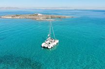 Athens Semi private Morning Catamaran cruise with meal & drinks
