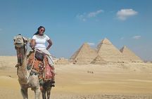 Trip to Egyptian Museum & Giza pyramids & Citadel With lunch