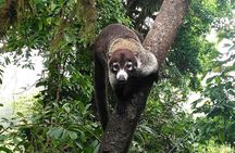 Manuel Antonio National Park *Group tour/Park ticket NOT included