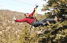 Ziplines & fun suspension bridge