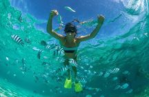 Isla Mujeres tour 12 p.m. Best time Less People