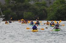 Fajardo Bioluminescent Bay Night Kayak Adventure from San Juan
