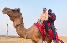 Desert Camp Stay 1 Night Package (Jeep+Camel+Hi-tea+Cultural Event+Dinner+B'Fast