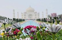 Sameday Taj Mahal Tour From Delhi With Lunch at 5 Star Hotel