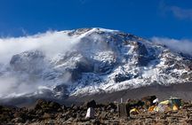 Private 8 day Northern Circuit Kilimanjaro Climb